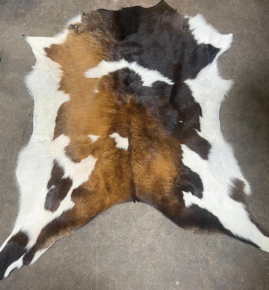 Authentic 3' Tricolor Calfhide Rug